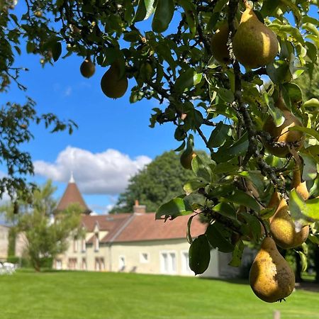 Le Petit Chateau Baye  エクステリア 写真