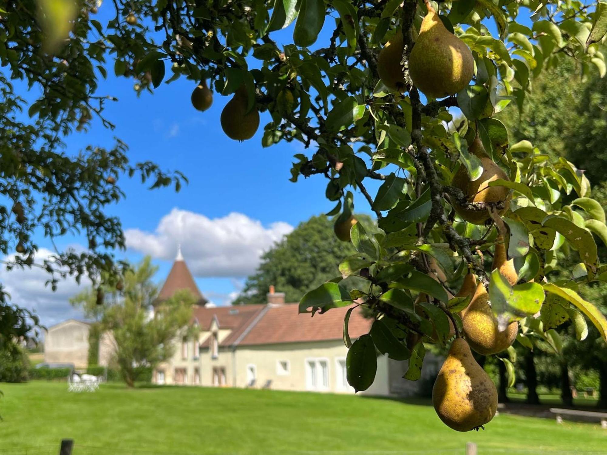 Le Petit Chateau Baye  エクステリア 写真